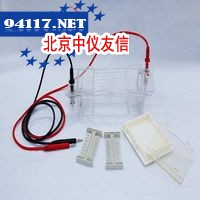 DYCP-31CN型 琼脂糖水平电泳仪（槽）（小号）